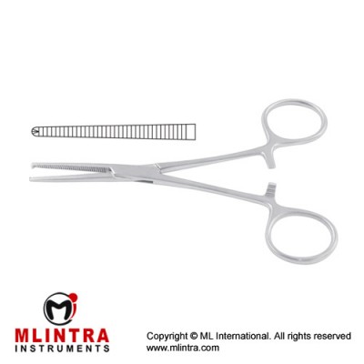 Kocher-Nippon Haemostatic Forceps Straight - 1 x 2 Teeth Stainless Steel, 16.5 cm - 6 1/2" 